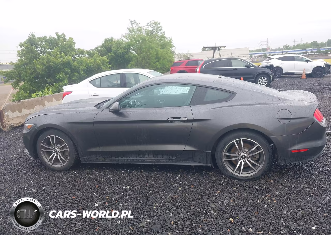 2017 Ford Mustang Ecoboost VIN:1FA6P8TH5H5338603 - 14
