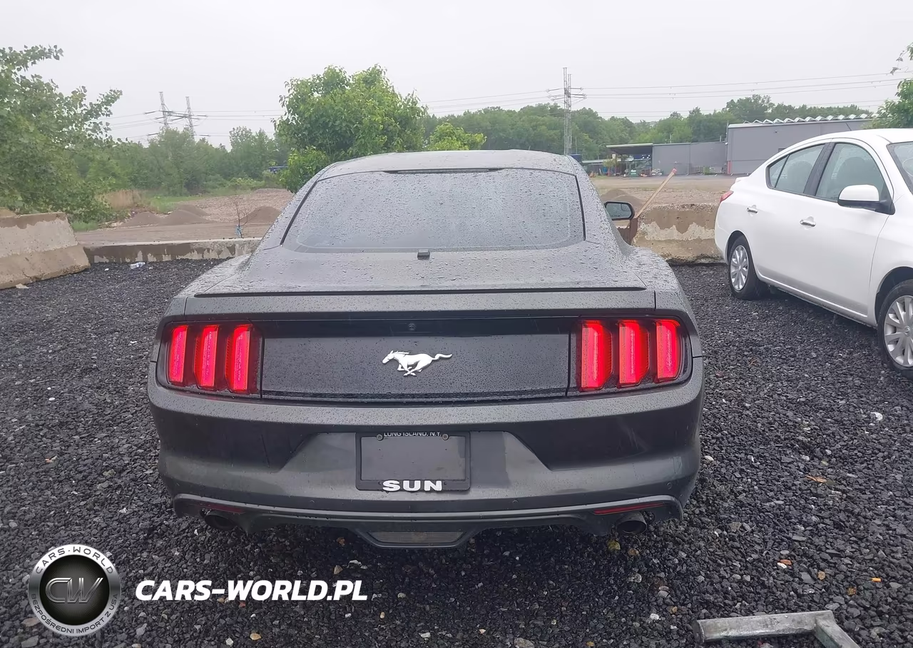 2017 Ford Mustang Ecoboost VIN:1FA6P8TH5H5338603 - 16