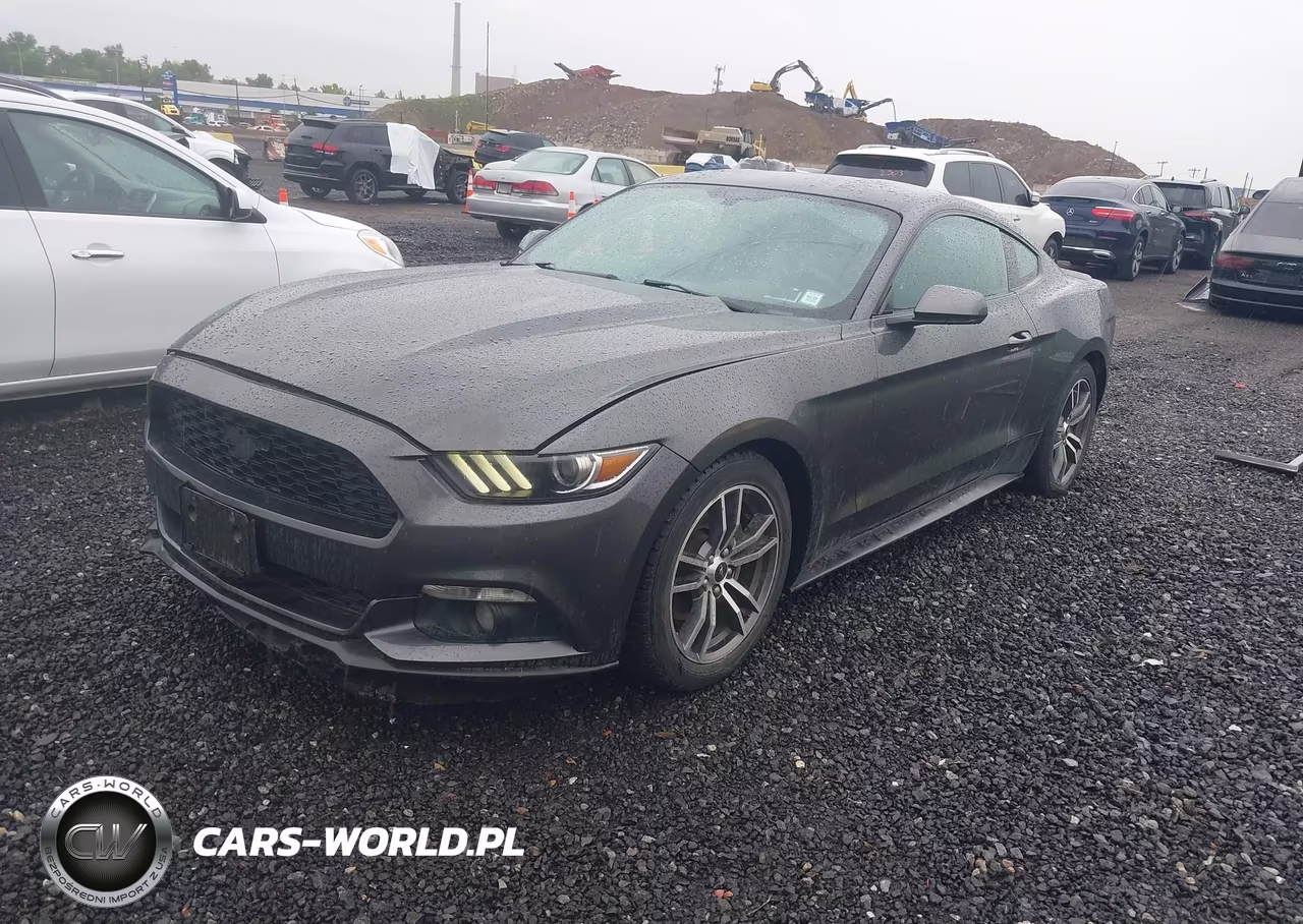 2017 Ford Mustang Ecoboost VIN:1FA6P8TH5H5338603 - 2