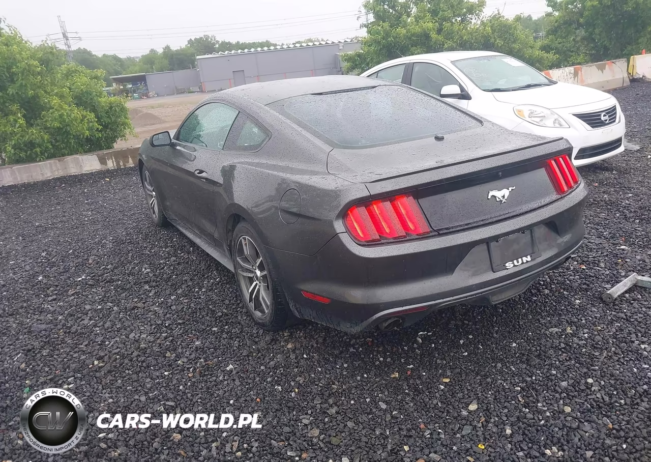 2017 Ford Mustang Ecoboost VIN:1FA6P8TH5H5338603 - 3