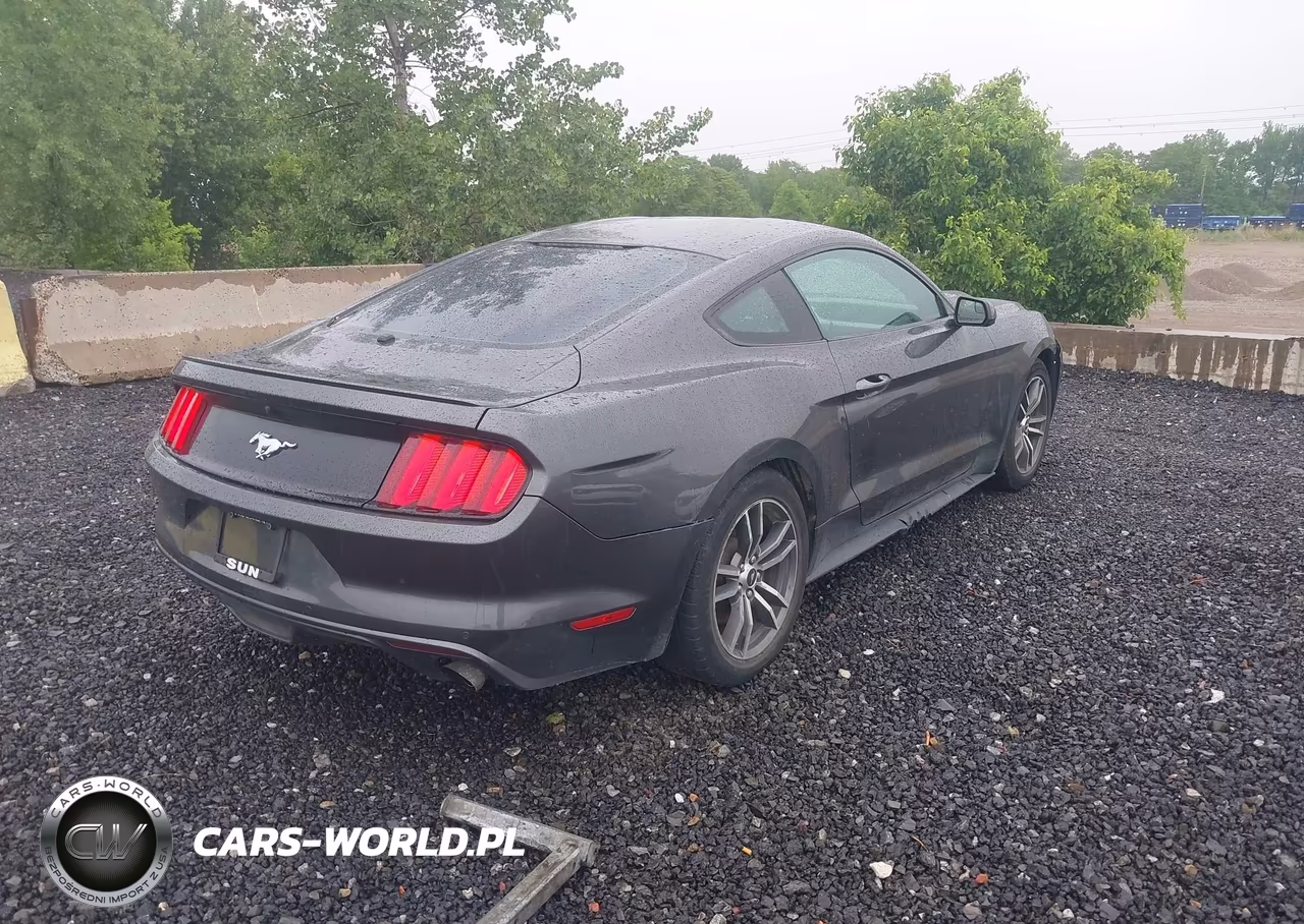 2017 Ford Mustang Ecoboost VIN:1FA6P8TH5H5338603 - 4