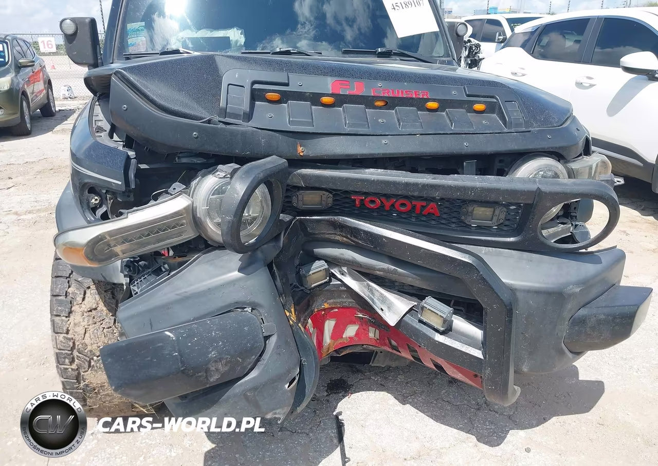 2013 Toyota Fj Cruiser VIN:JTEZU4BF7DK012818 - 6