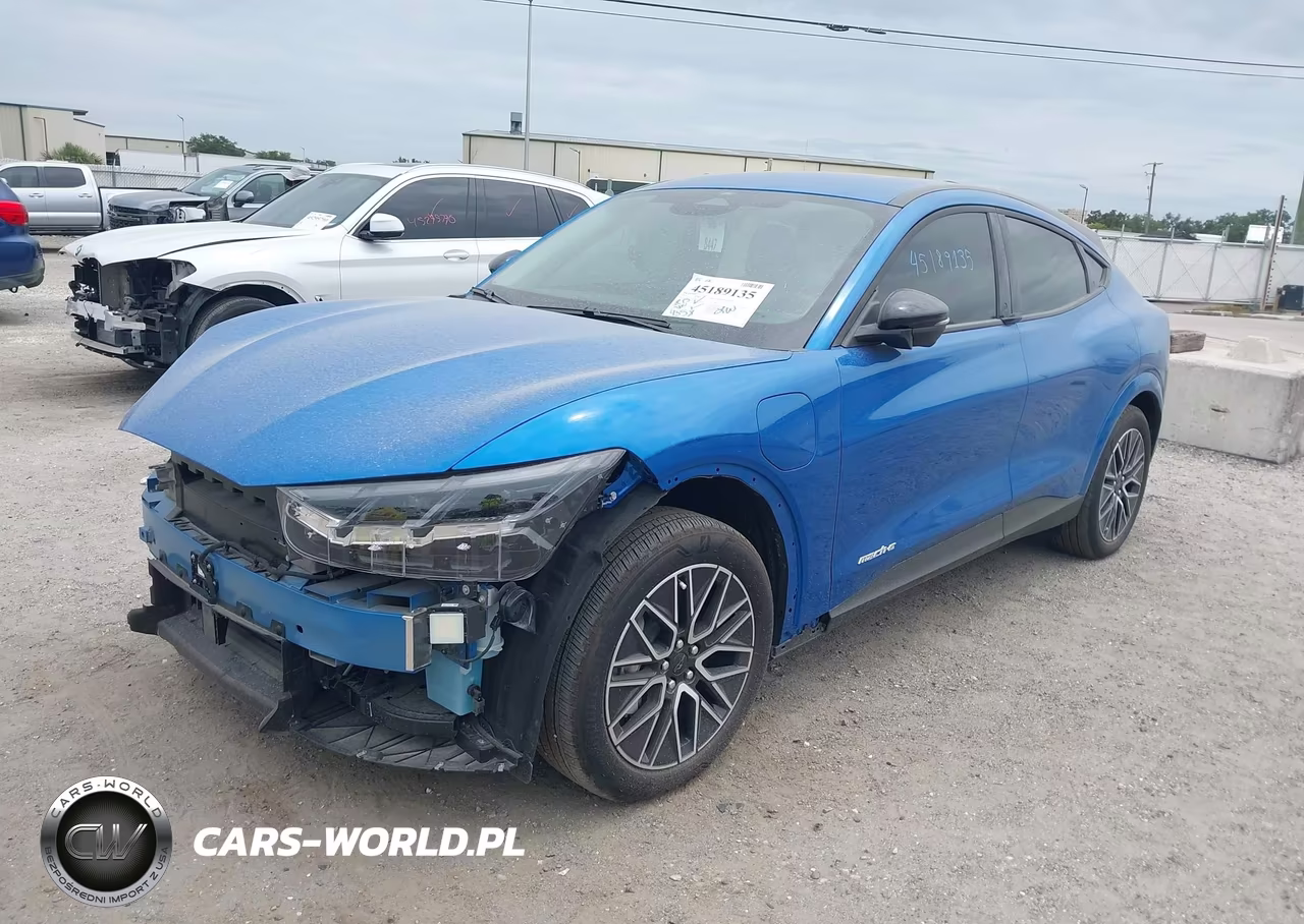 2025 Ford Mustang Mach-E Premium VIN:3FMTK3R42SMA51042 - 2