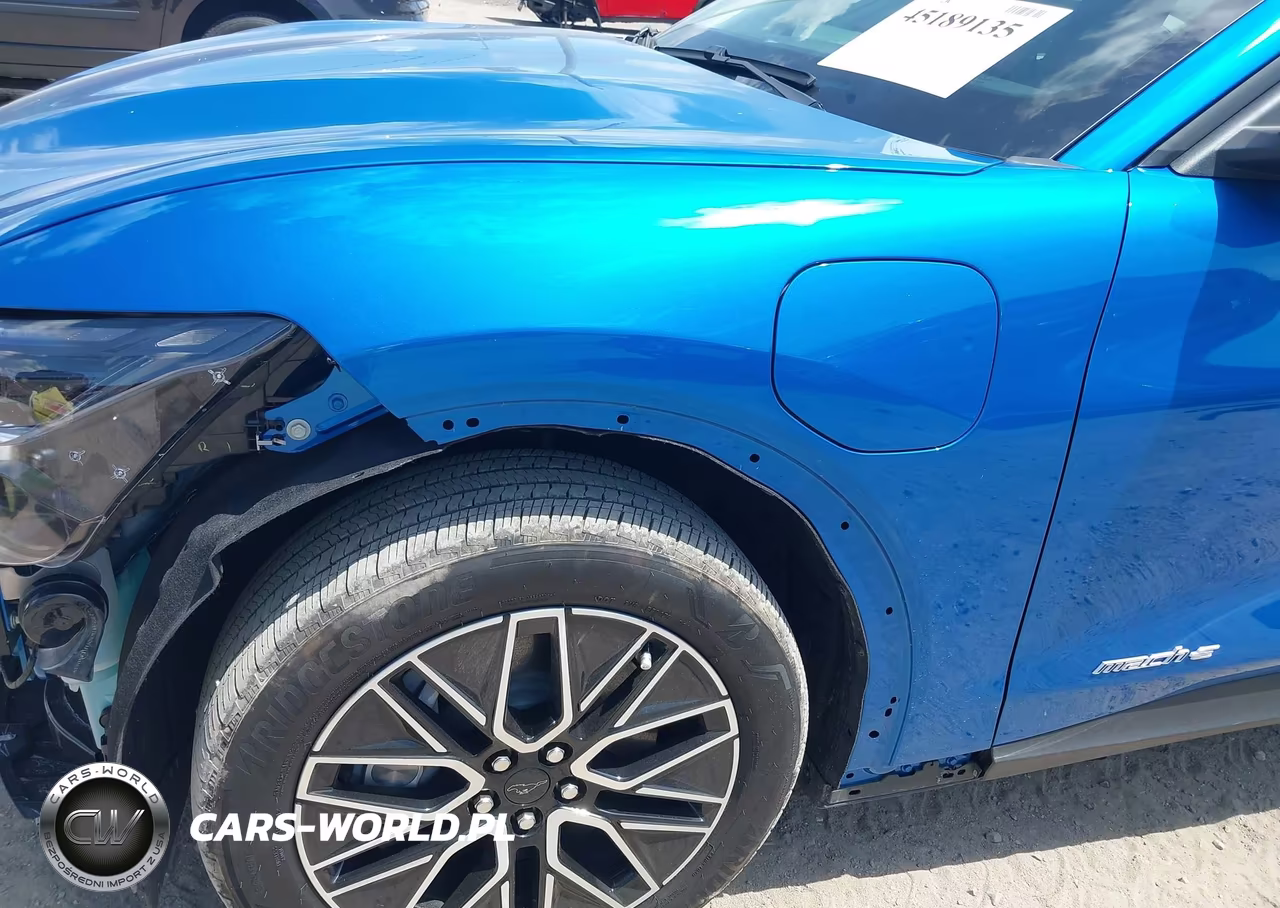 2025 Ford Mustang Mach-E Premium VIN:3FMTK3R42SMA51042 - 21