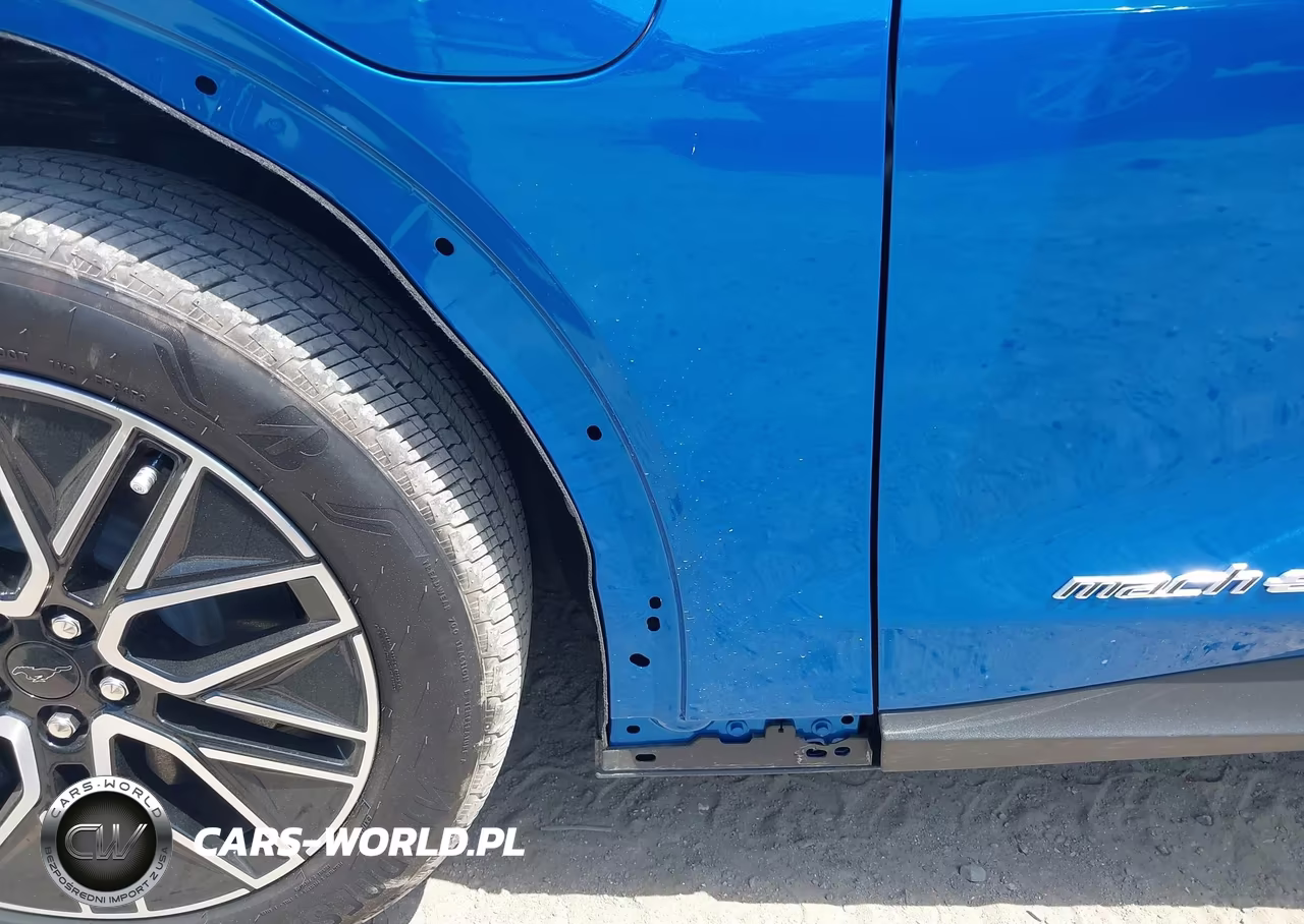 2025 Ford Mustang Mach-E Premium VIN:3FMTK3R42SMA51042 - 22