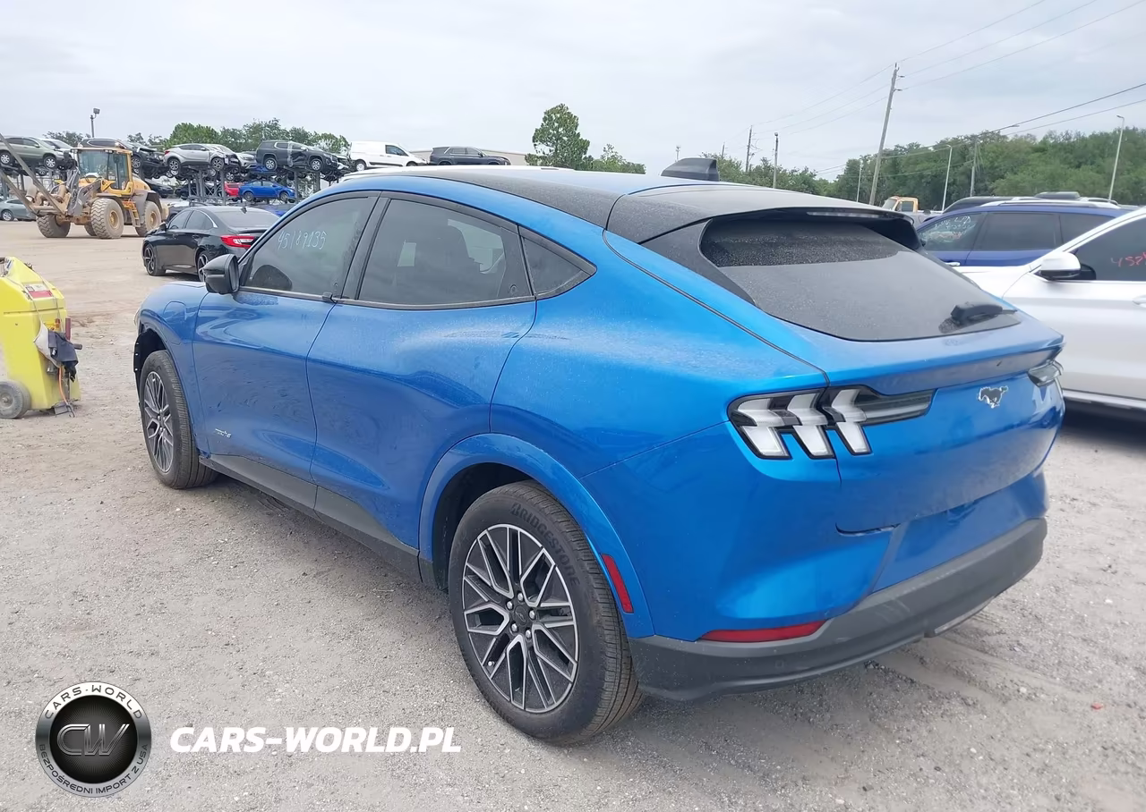 2025 Ford Mustang Mach-E Premium VIN:3FMTK3R42SMA51042 - 3