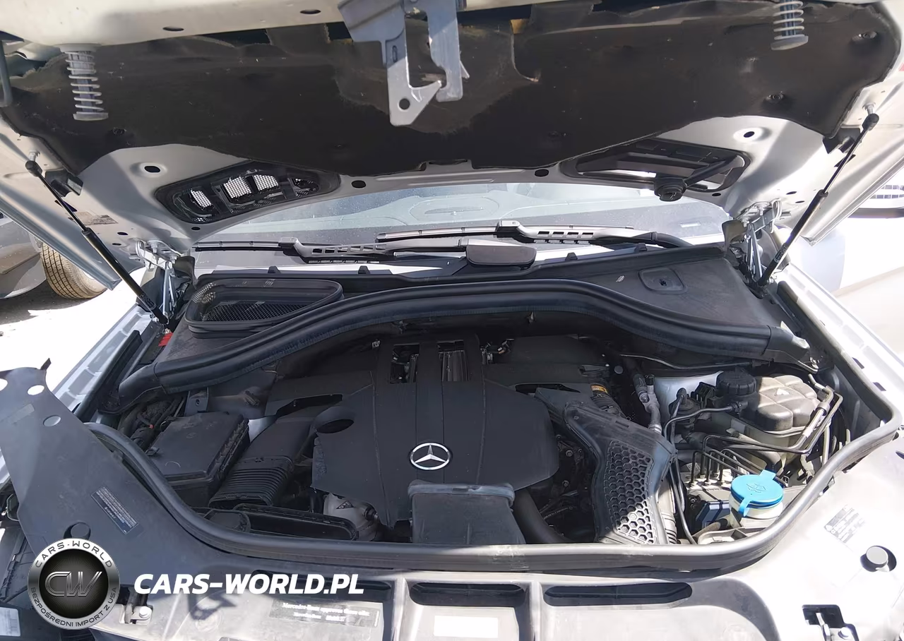 2017 Mercedes-Benz Gls 450 4Matic VIN:4JGDF6EEXHA955073 - 10