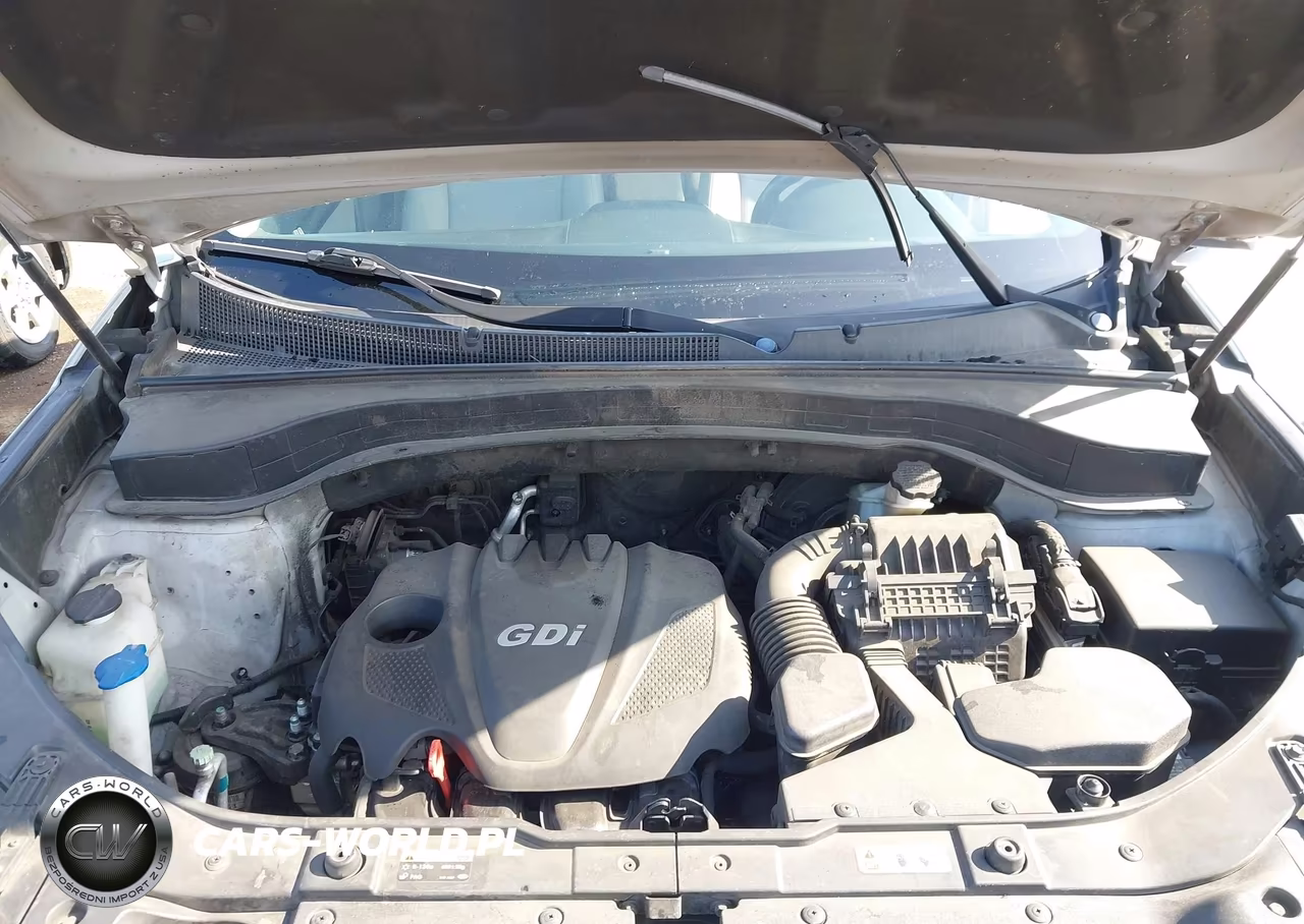 2014 Kia Sorento Lx VIN:5XYKT4A67EG460266 - 10