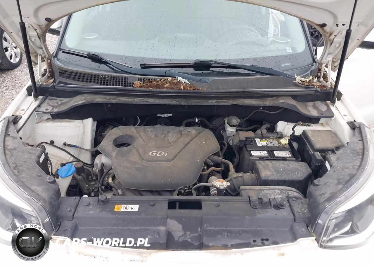 2016 Kia Soul VIN:KNDJN2A28G7363648 - 10