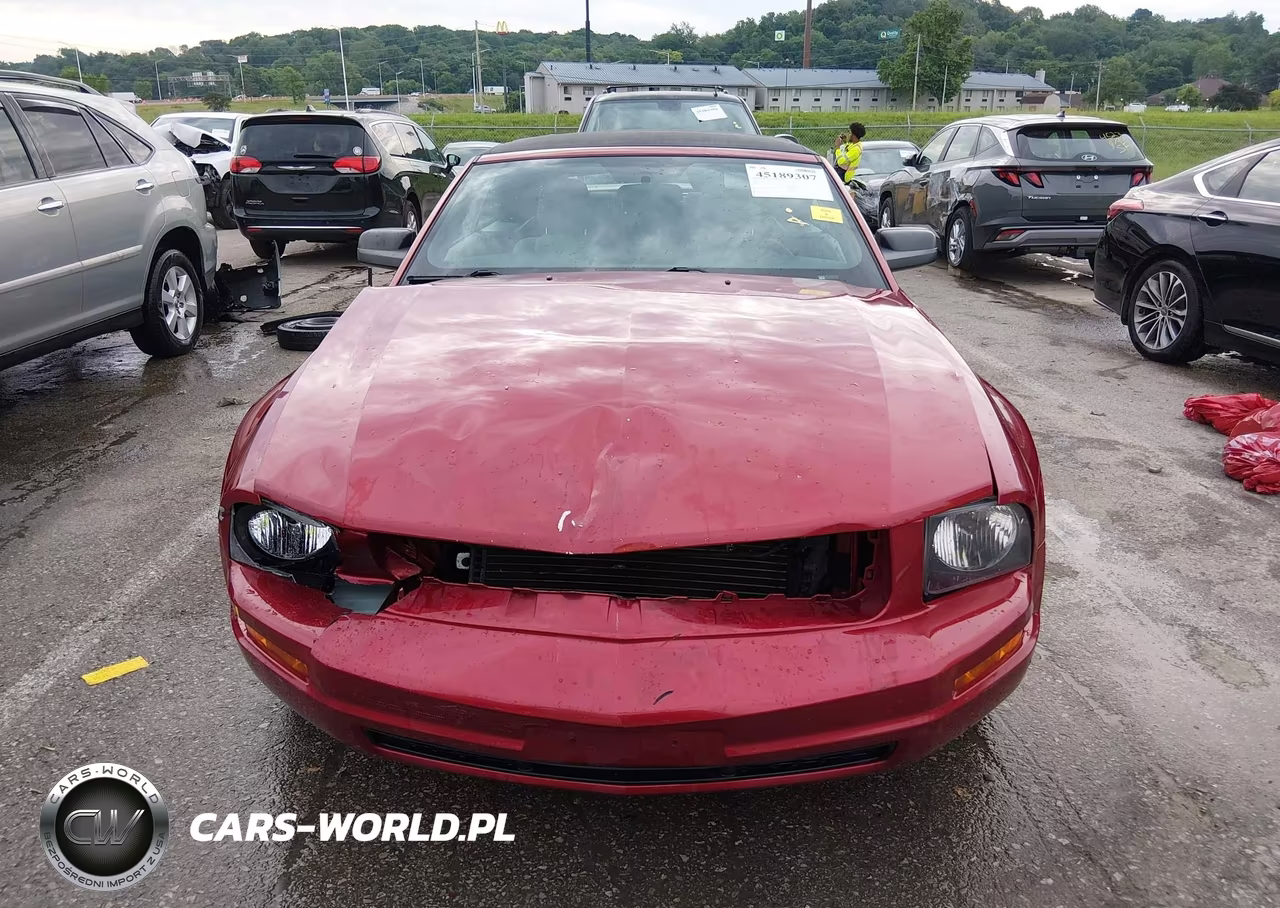 2005 Ford Mustang VIN:1ZVFT84N455216415 - 13
