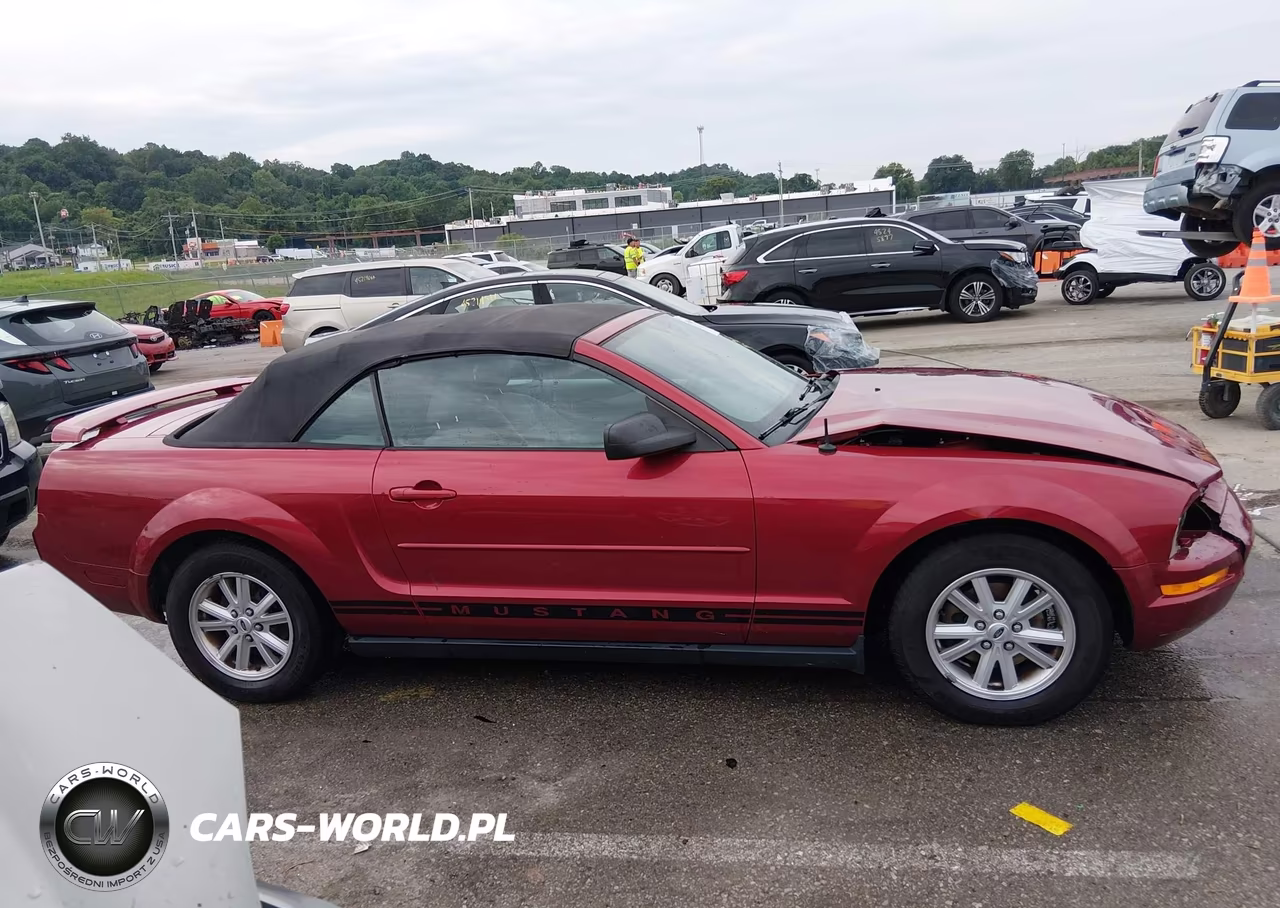 2005 Ford Mustang VIN:1ZVFT84N455216415 - 14