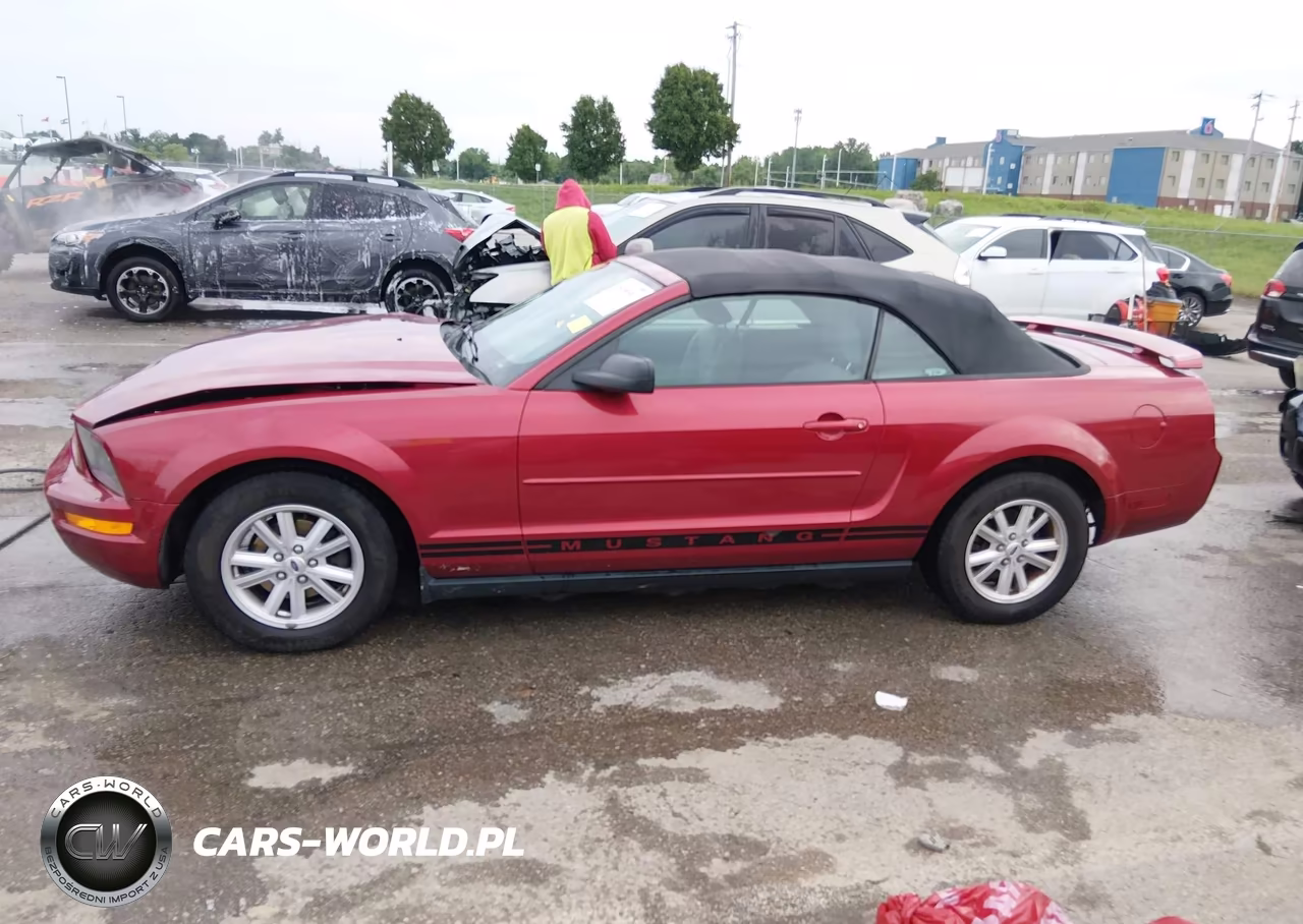 2005 Ford Mustang VIN:1ZVFT84N455216415 - 15