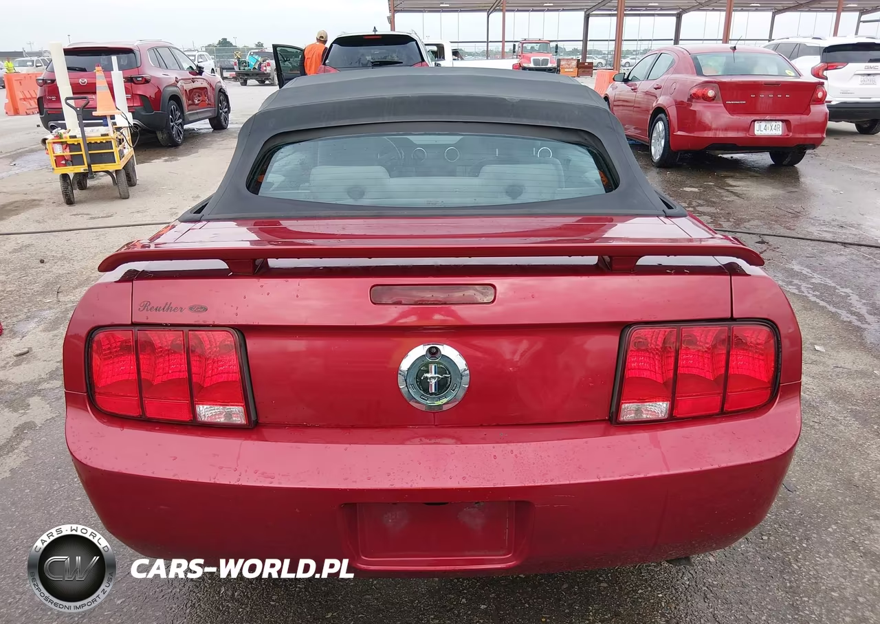2005 Ford Mustang VIN:1ZVFT84N455216415 - 17