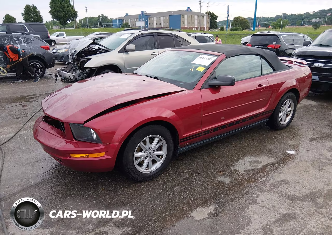 2005 Ford Mustang VIN:1ZVFT84N455216415 - 2