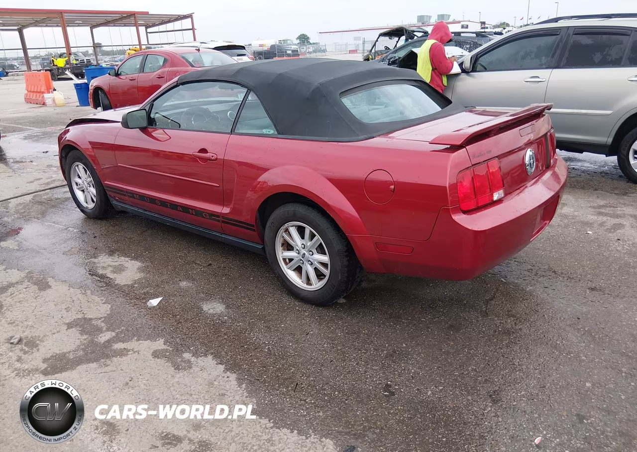 2005 Ford Mustang VIN:1ZVFT84N455216415 - 3