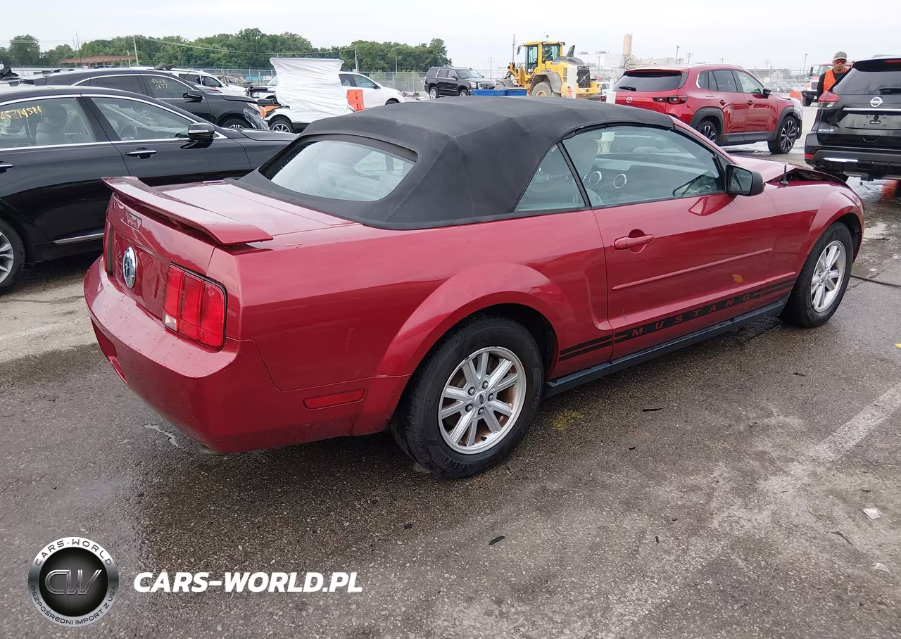 2005 Ford Mustang VIN:1ZVFT84N455216415 - 4