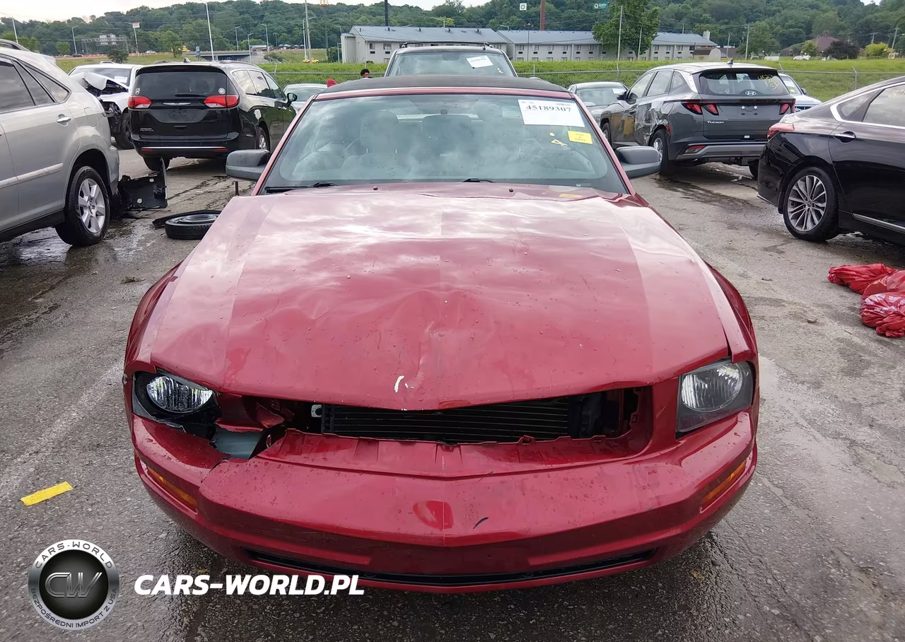 2005 Ford Mustang VIN:1ZVFT84N455216415 - 6