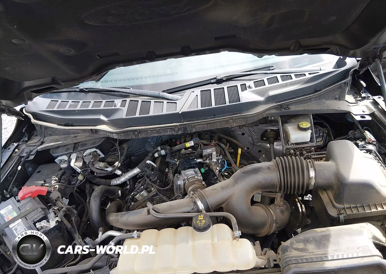 2022 Ford F-150 Xlt VIN:1FTEW1CP7NFA03260 - 10