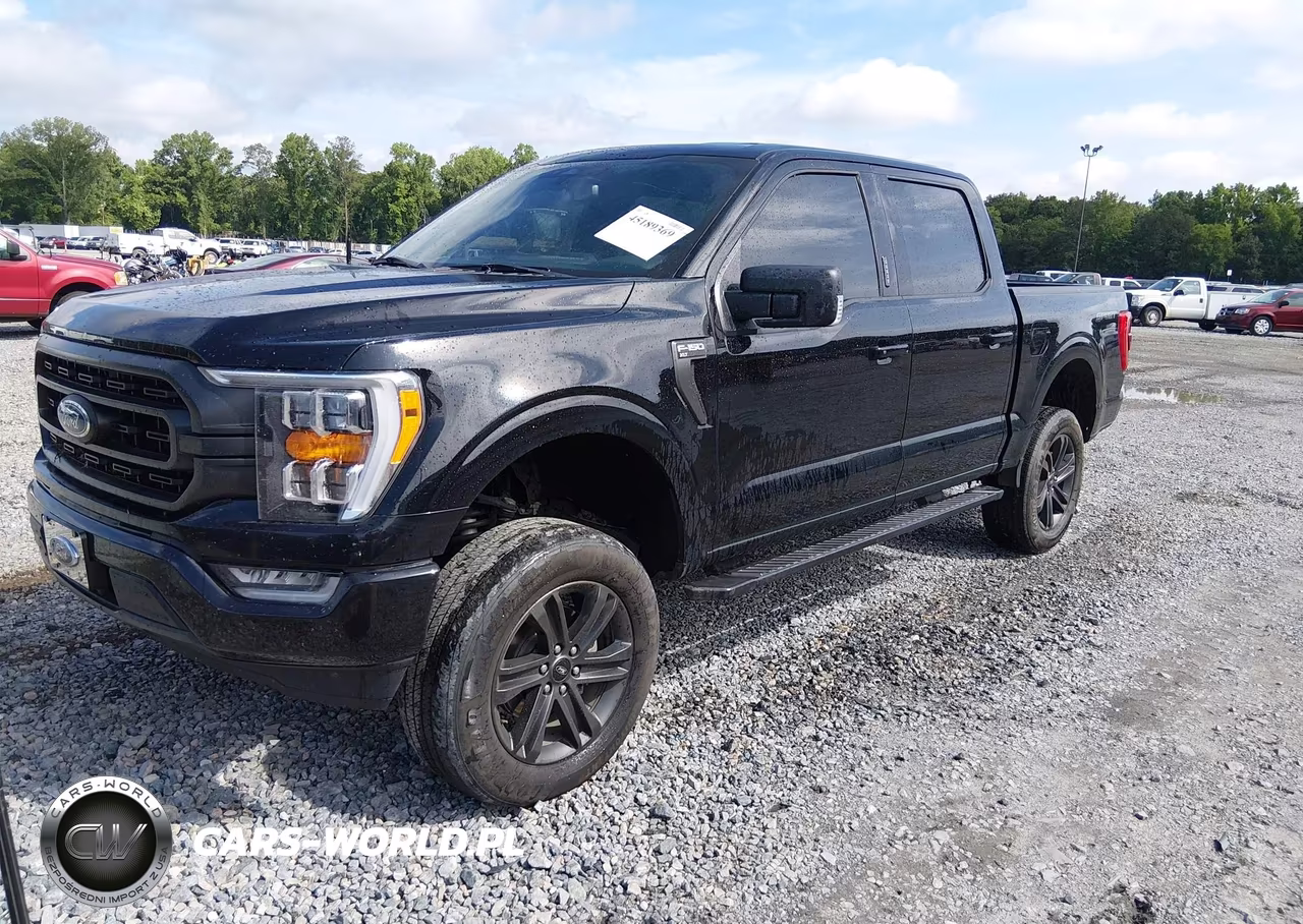 2022 Ford F-150 Xlt VIN:1FTEW1CP7NFA03260 - 2