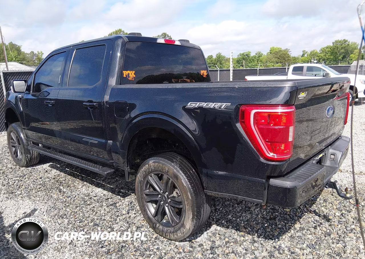 2022 Ford F-150 Xlt VIN:1FTEW1CP7NFA03260 - 3
