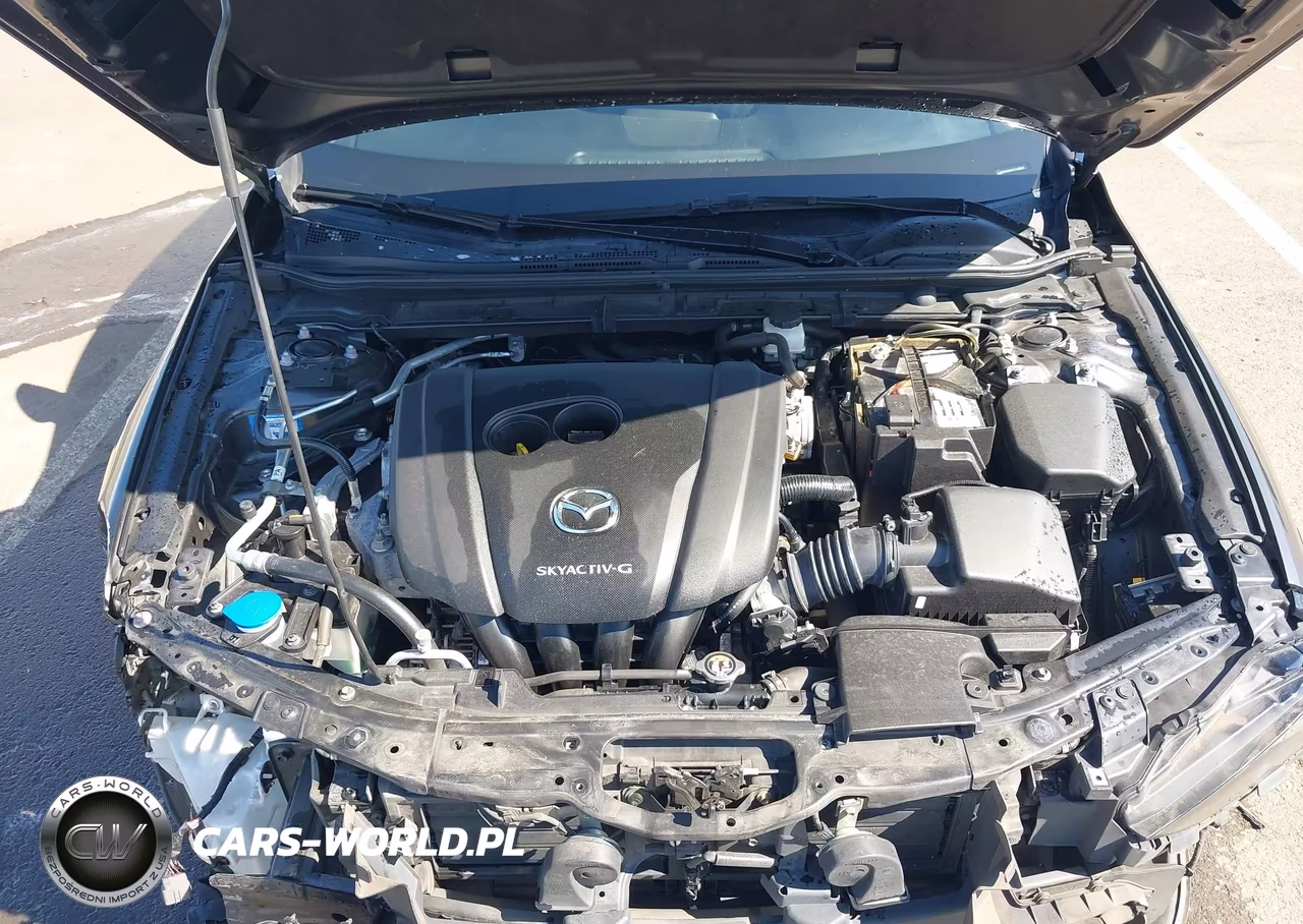 2019 Mazda Mazda3 Preferred Package VIN:JM1BPAMM7K1143337 - 10