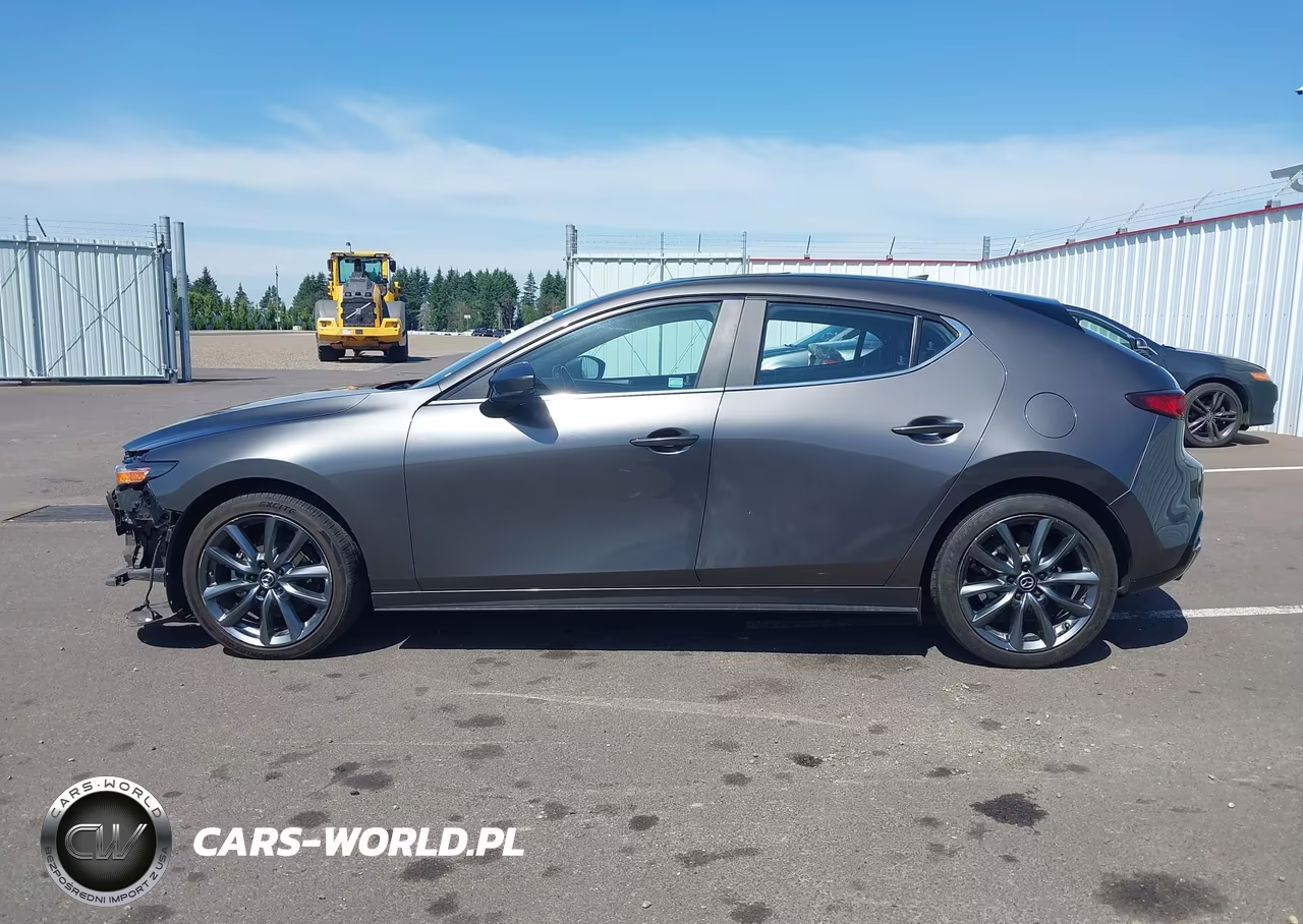 2019 Mazda Mazda3 Preferred Package VIN:JM1BPAMM7K1143337 - 15