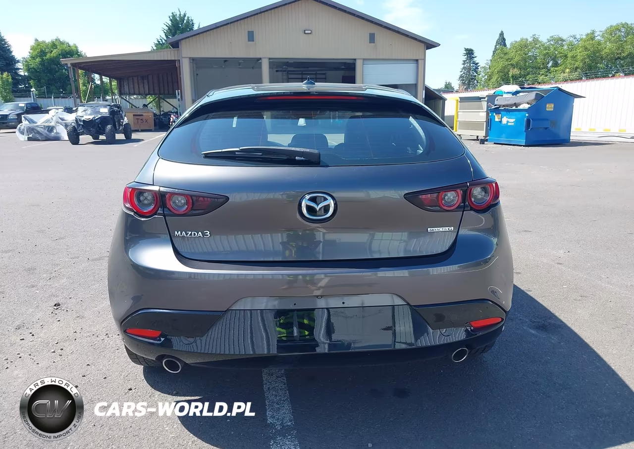 2019 Mazda Mazda3 Preferred Package VIN:JM1BPAMM7K1143337 - 17