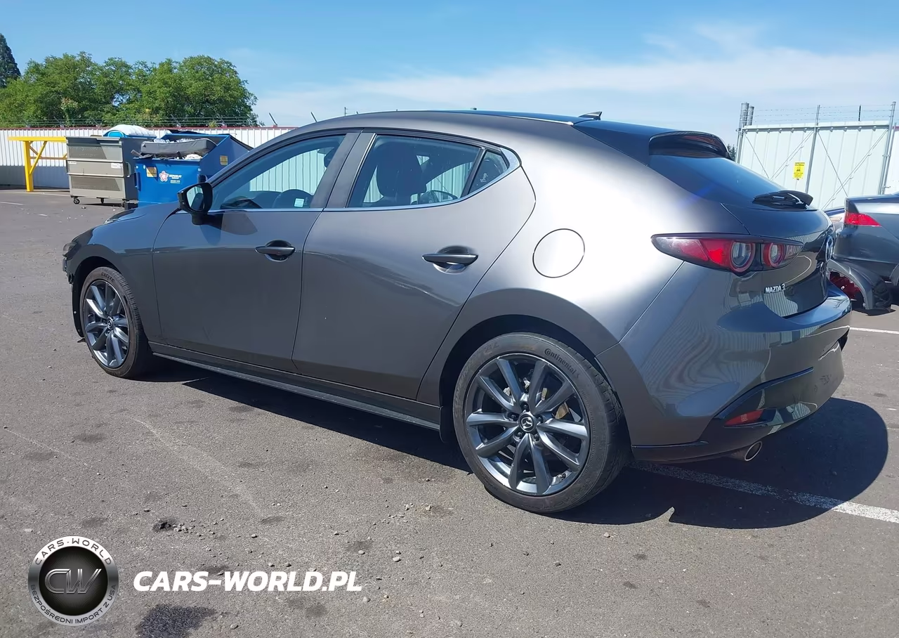 2019 Mazda Mazda3 Preferred Package VIN:JM1BPAMM7K1143337 - 3