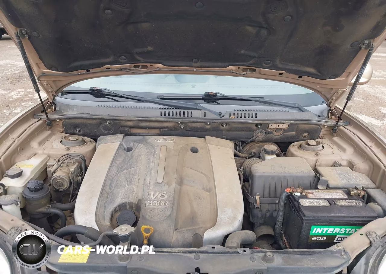 2003 Hyundai Santa Fe Gls-Lx VIN:KM8SC13E03U544732 - 10