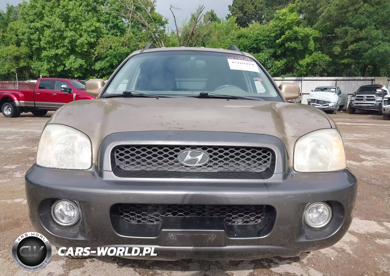 2003 Hyundai Santa Fe Gls-Lx VIN:KM8SC13E03U544732 - 13