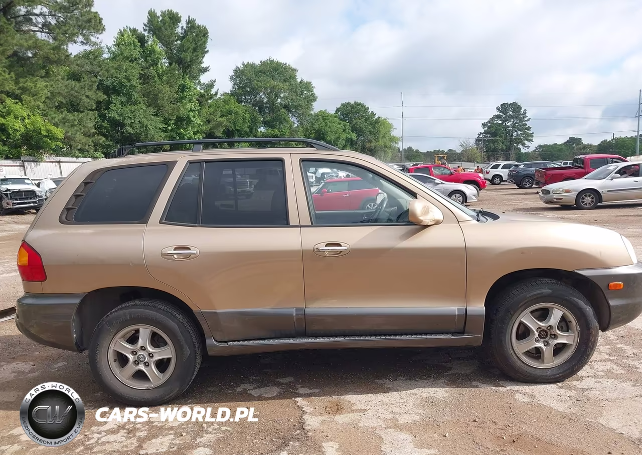 2003 Hyundai Santa Fe Gls-Lx VIN:KM8SC13E03U544732 - 14
