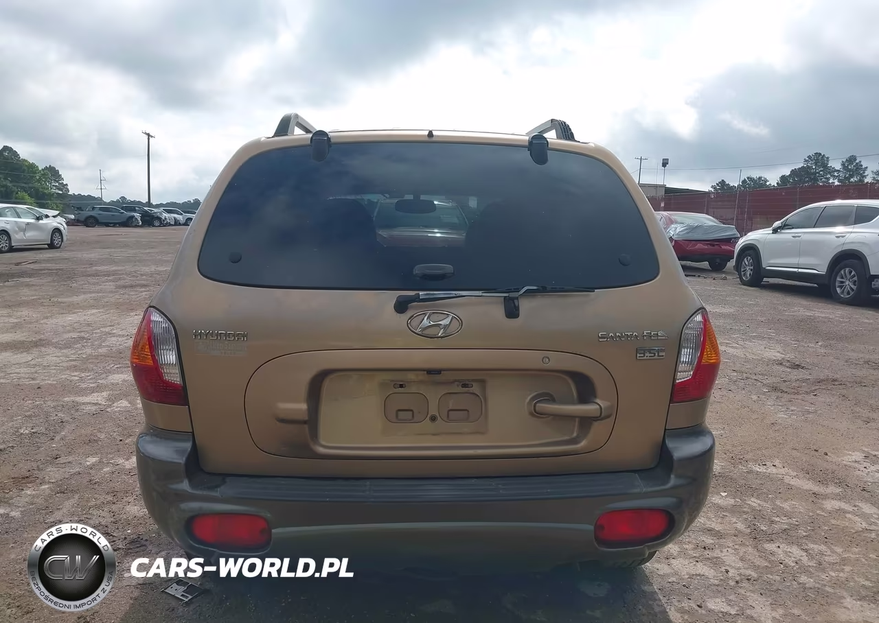 2003 Hyundai Santa Fe Gls-Lx VIN:KM8SC13E03U544732 - 17