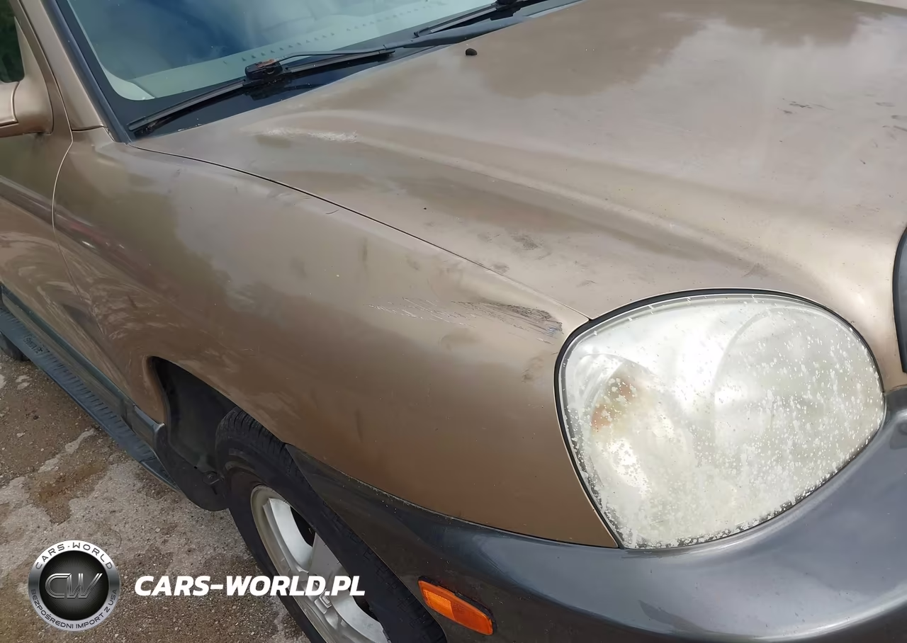 2003 Hyundai Santa Fe Gls-Lx VIN:KM8SC13E03U544732 - 18