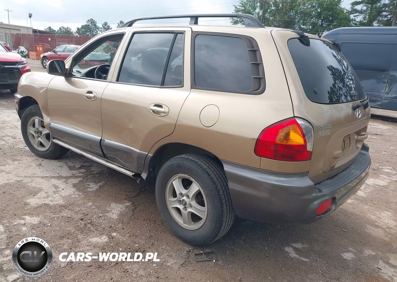 2003 Hyundai Santa Fe Gls-Lx VIN:KM8SC13E03U544732 - 3