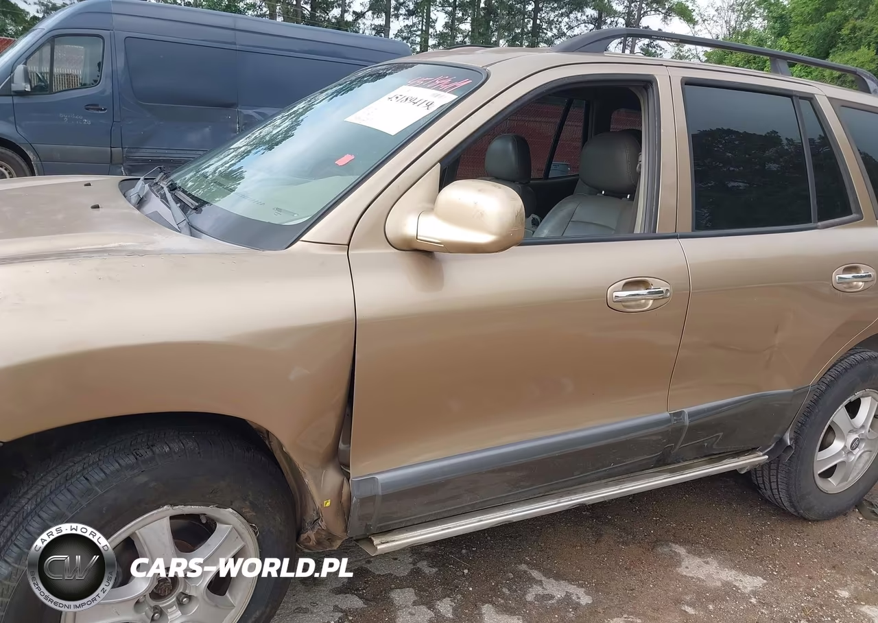 2003 Hyundai Santa Fe Gls-Lx VIN:KM8SC13E03U544732 - 6