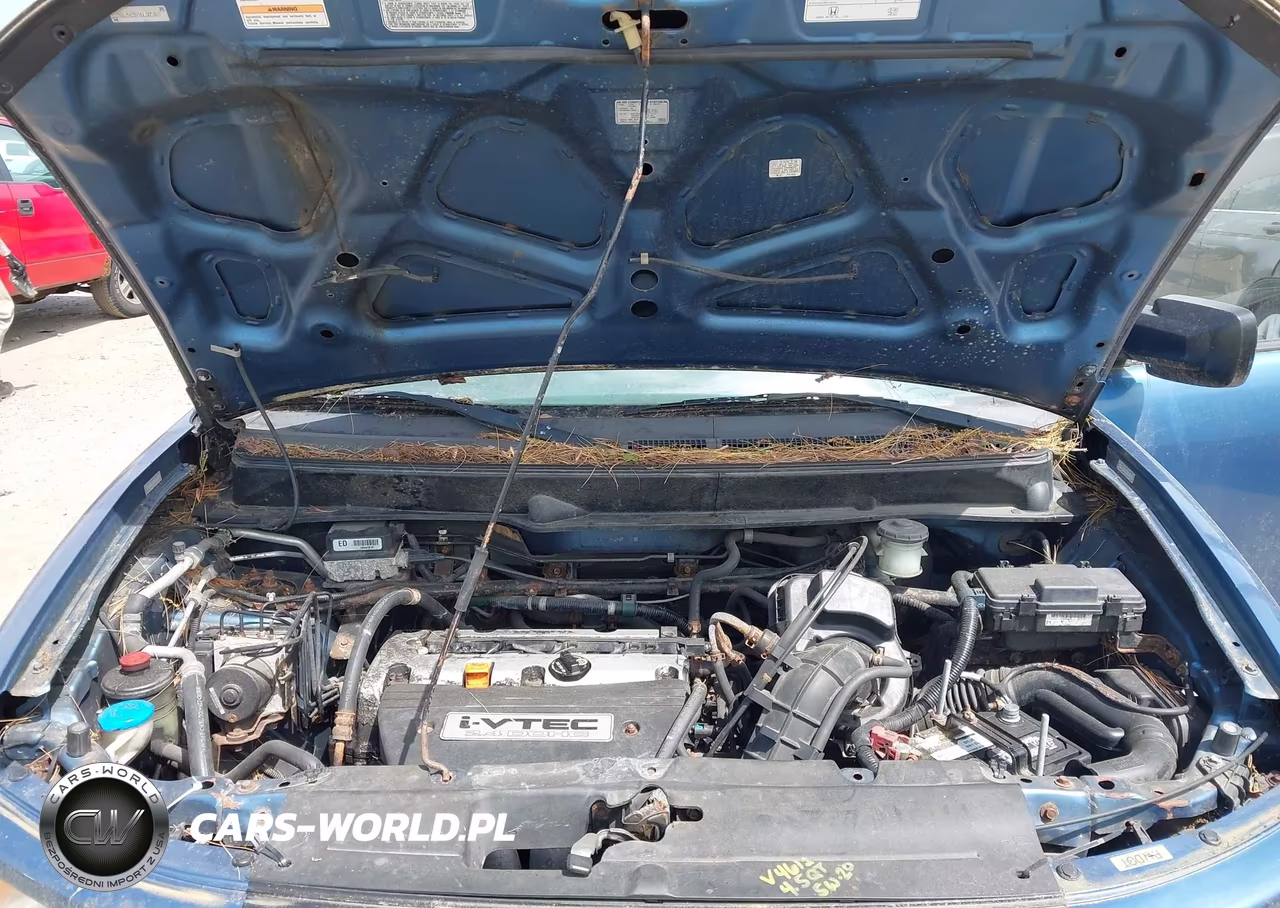 2006 Honda Element Ex-P VIN:5J6YH28766L009246 - 10