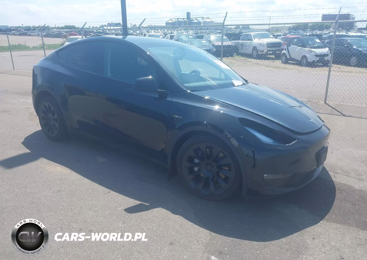 2025 Tesla Model Y Long Range Dual Motor All-Wheel Drive VIN:7SAYGDEE7SF308333 - 1