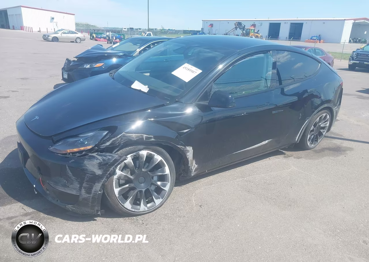 2025 Tesla Model Y Long Range Dual Motor All-Wheel Drive VIN:7SAYGDEE7SF308333 - 2