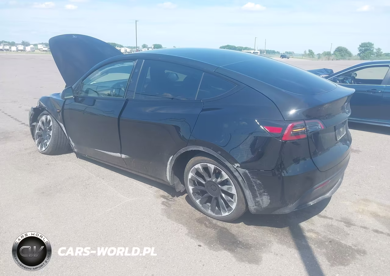 2025 Tesla Model Y Long Range Dual Motor All-Wheel Drive VIN:7SAYGDEE7SF308333 - 3