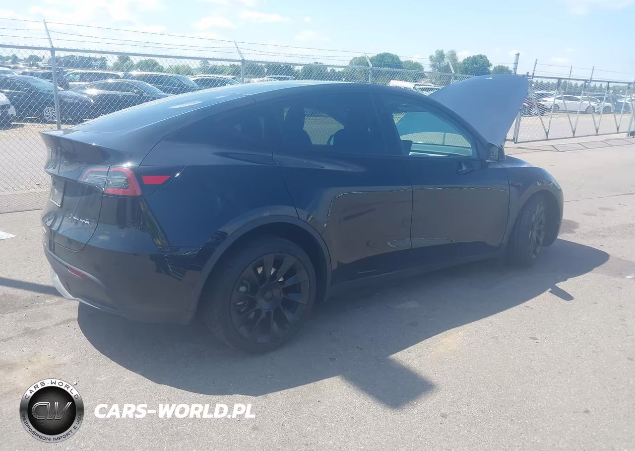 2025 Tesla Model Y Long Range Dual Motor All-Wheel Drive VIN:7SAYGDEE7SF308333 - 4