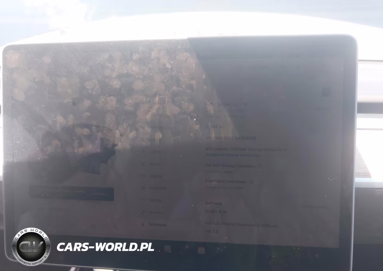 2025 Tesla Model Y Long Range Dual Motor All-Wheel Drive VIN:7SAYGDEE7SF308333 - 7