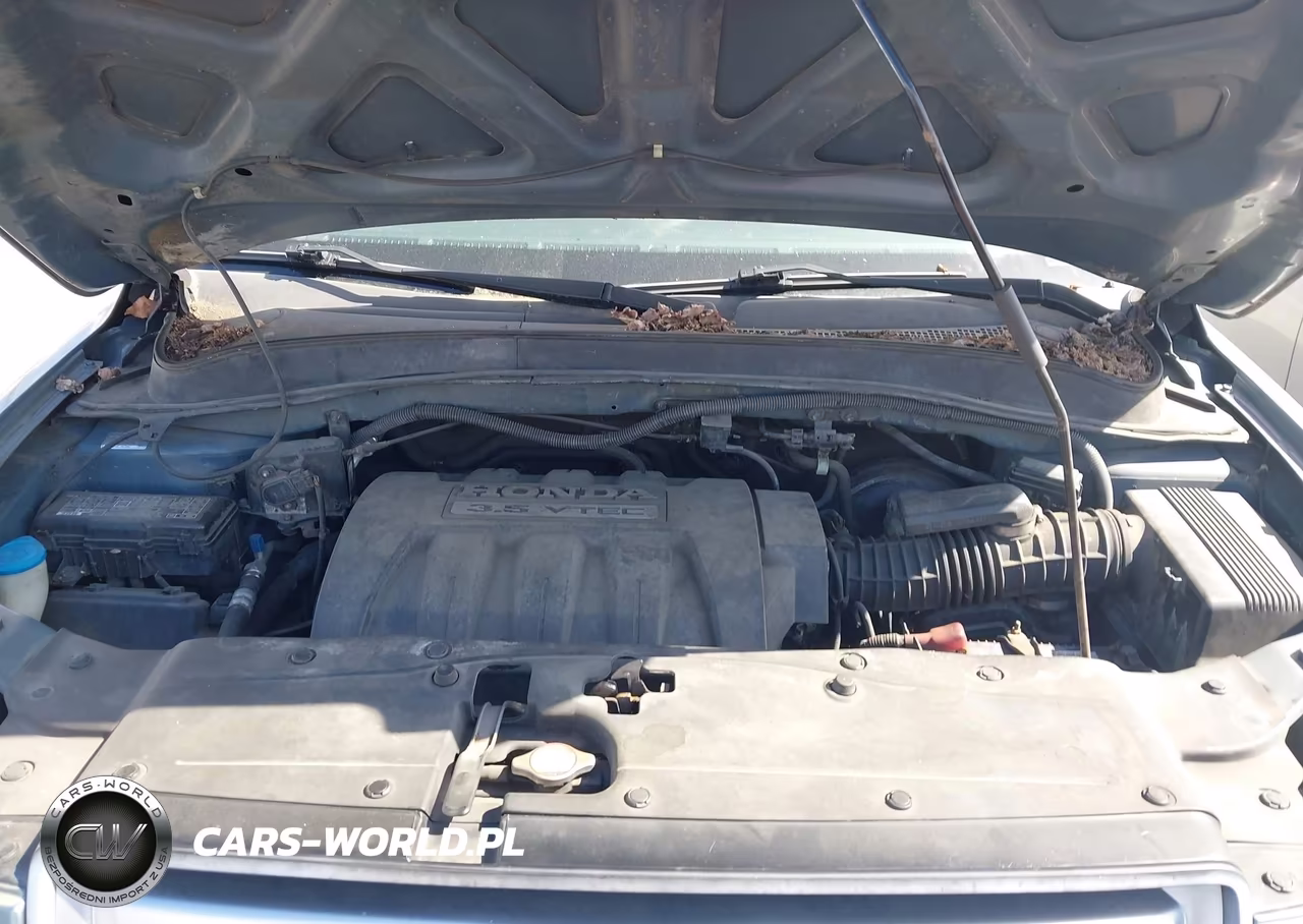 2006 Honda Pilot Ex VIN:2HKYF18606H542131 - 10
