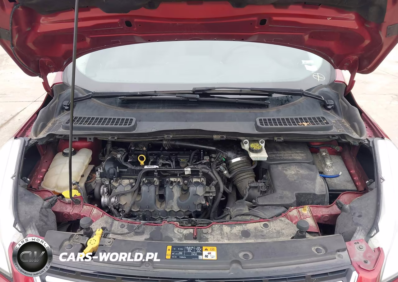 2013 Ford Escape Sel VIN:1FMCU0H90DUC31558 - 10