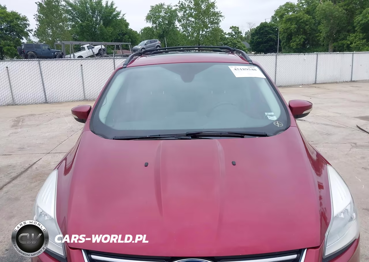2013 Ford Escape Sel VIN:1FMCU0H90DUC31558 - 12