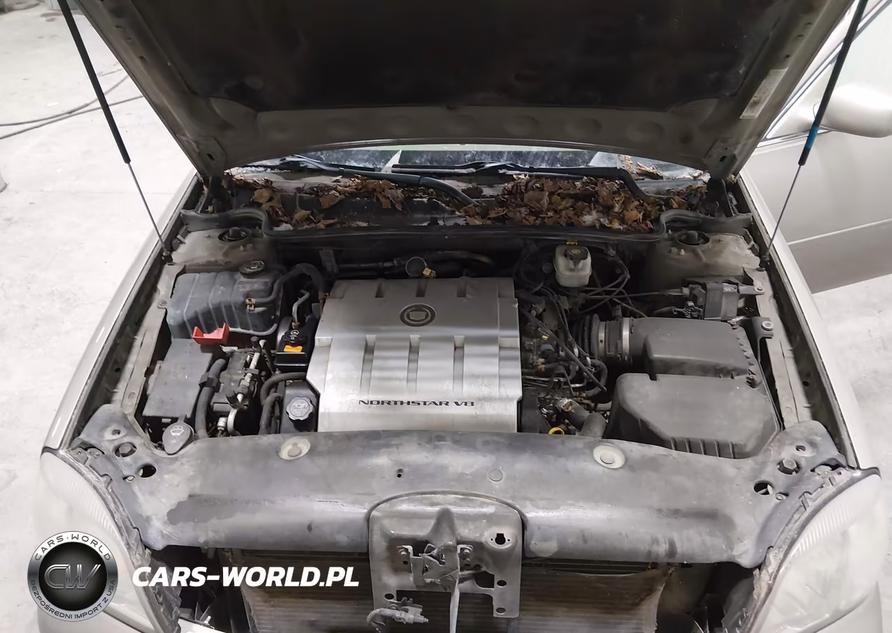 2004 Cadillac Deville Standard VIN:1G6KD54YX4U167865 - 10