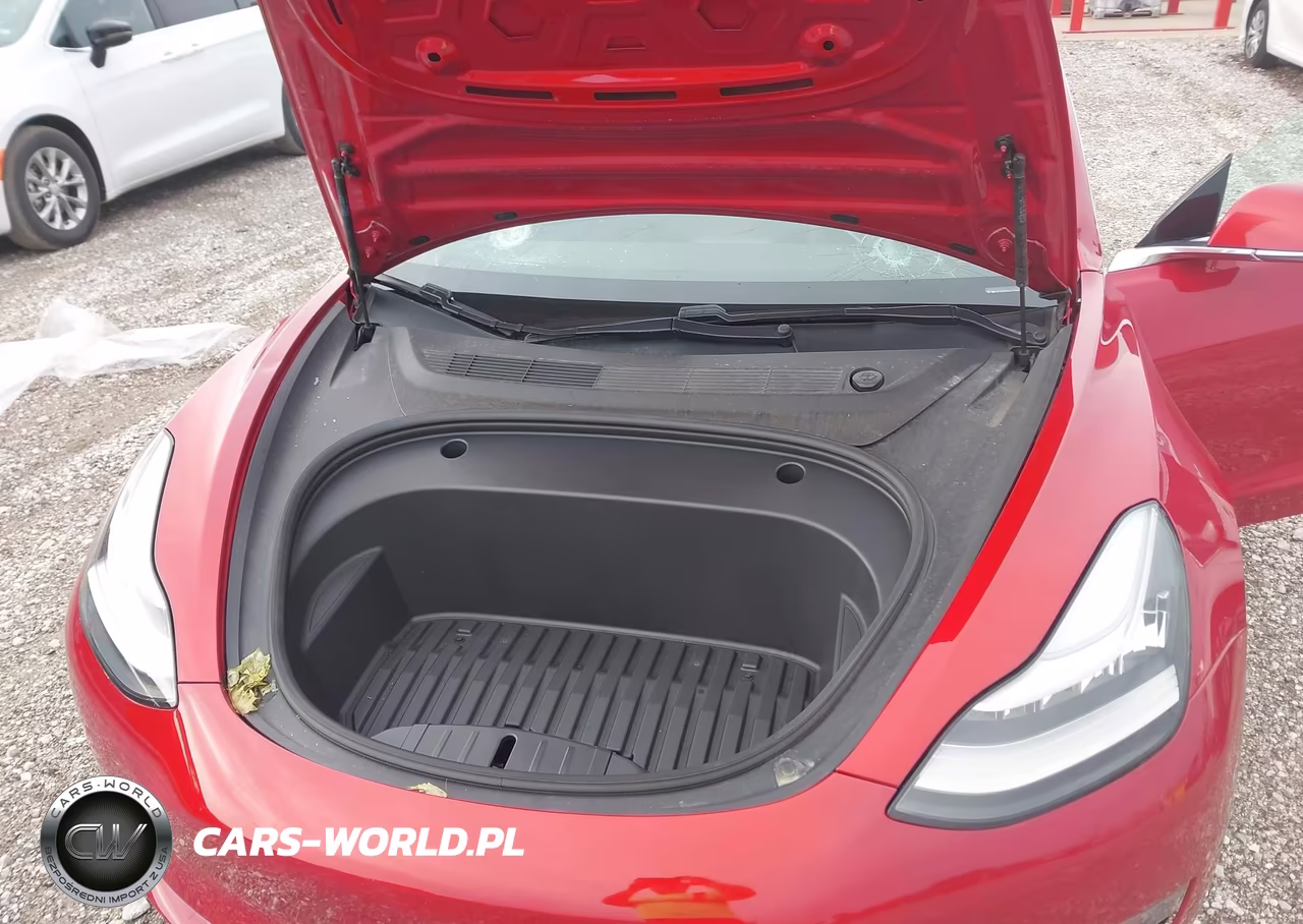 2020 Tesla Model 3 Long Range Dual Motor All-Wheel Drive VIN:5YJ3E1EB6LF790974 - 10