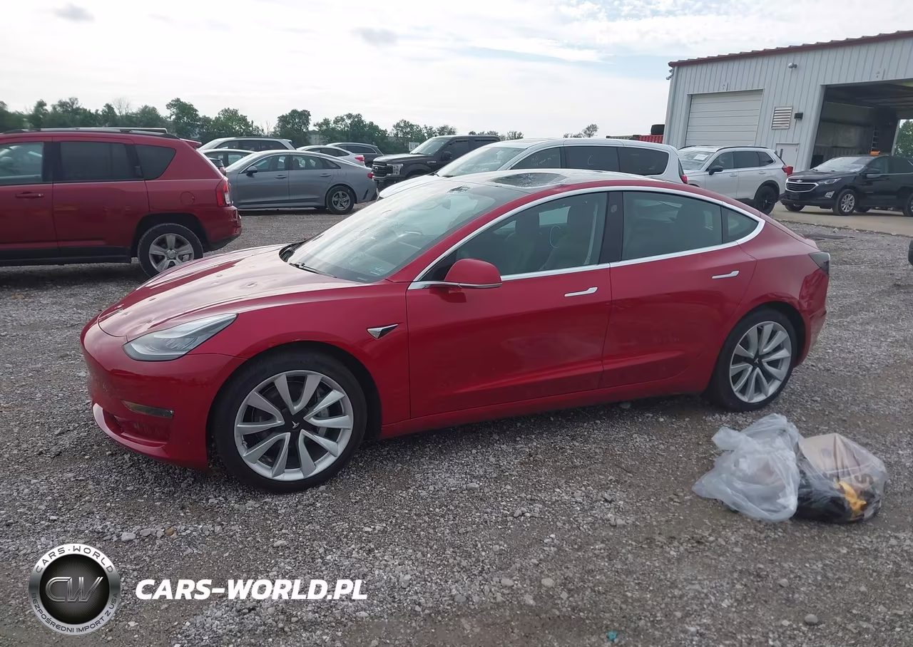 2020 Tesla Model 3 Long Range Dual Motor All-Wheel Drive VIN:5YJ3E1EB6LF790974 - 14