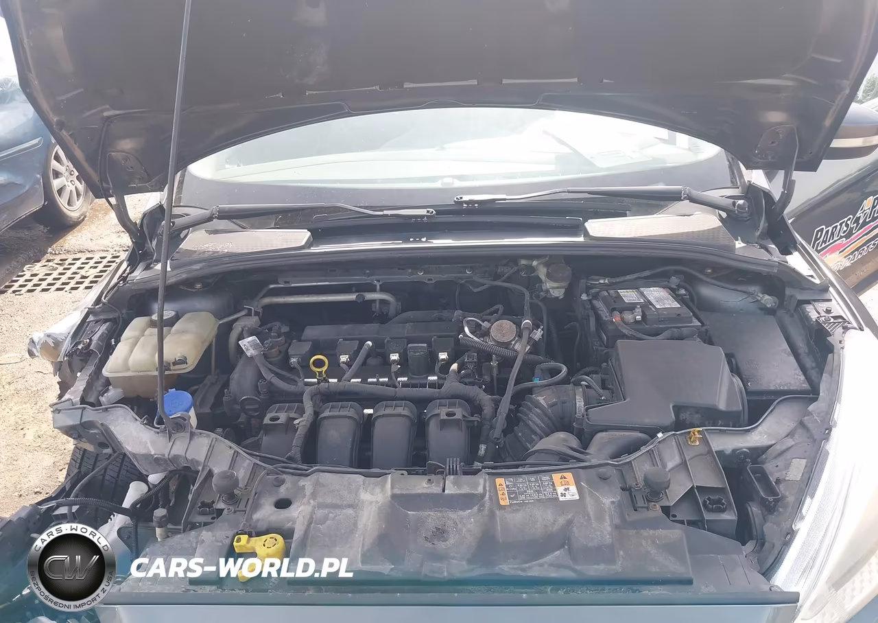 2016 Ford Focus Se VIN:1FADP3K24GL364000 - 10