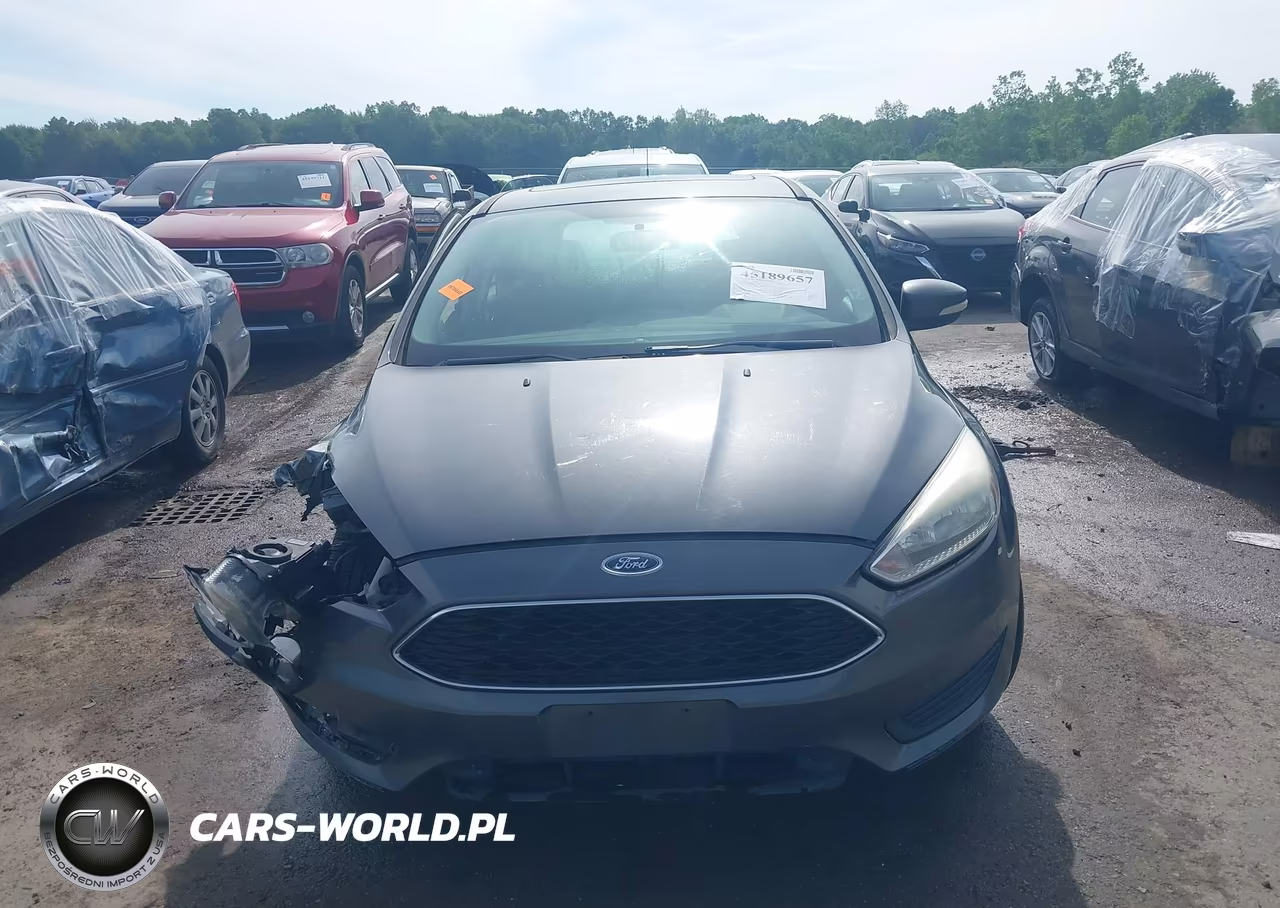 2016 Ford Focus Se VIN:1FADP3K24GL364000 - 12