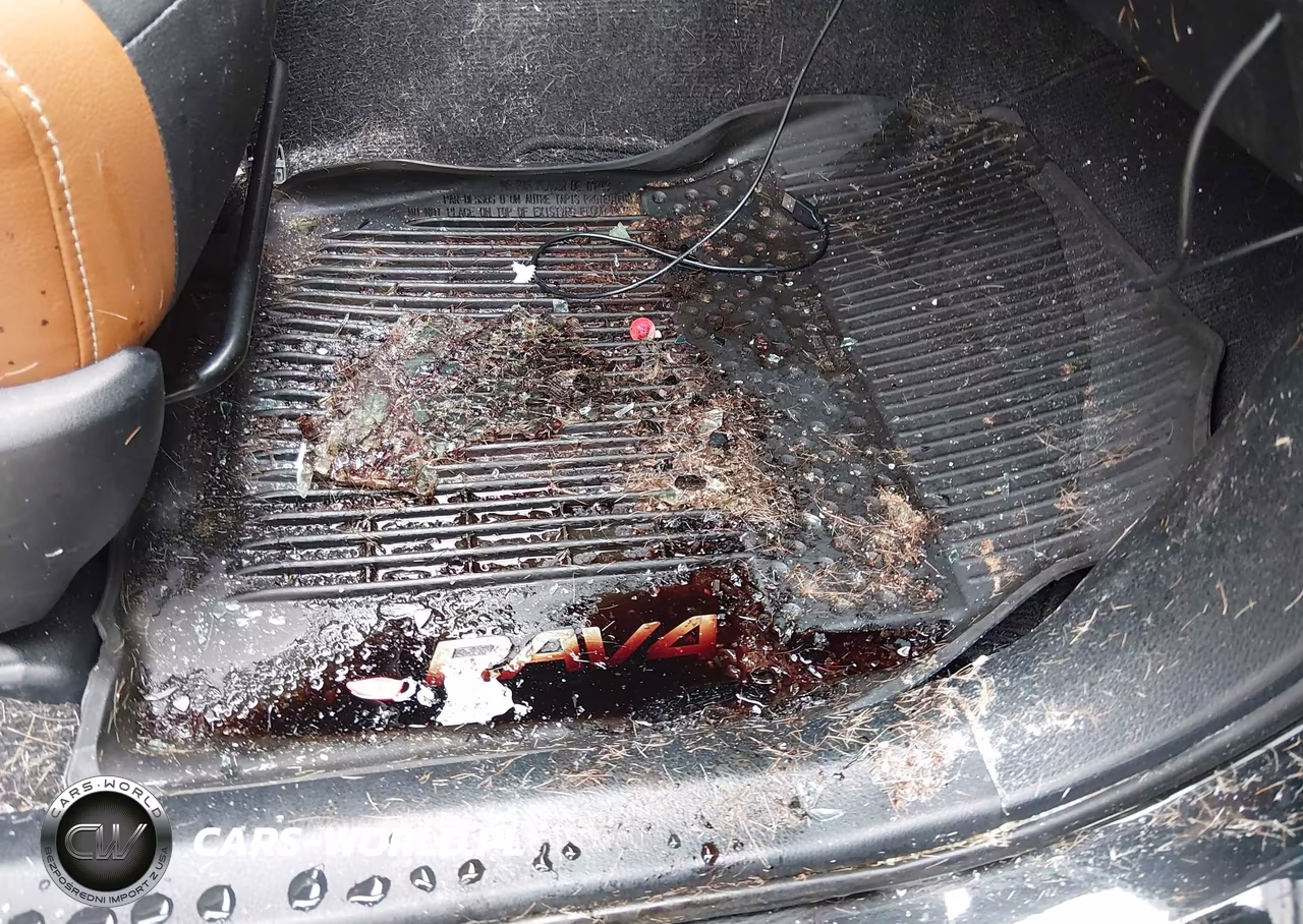 2016 Toyota Rav4 Se VIN:JTMJFREV9GJ076400 - 19